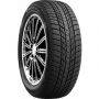 Легковая шина Roadstone WinGuard ice Plus 245/45 R18 100T